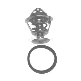Thermostat d'eau BORG & BECK BBT024
