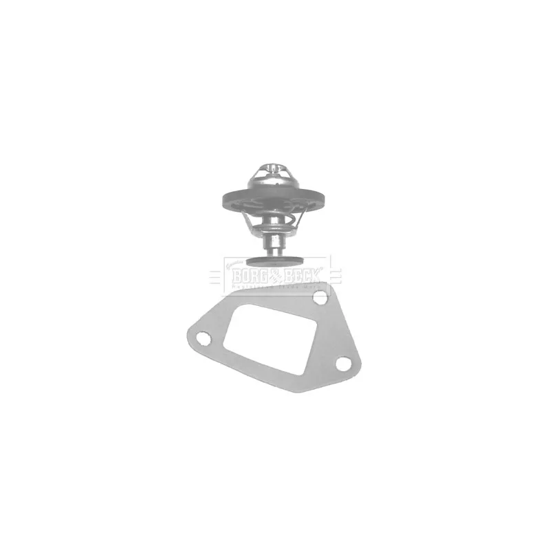 Thermostat d'eau BORG & BECK BBT026