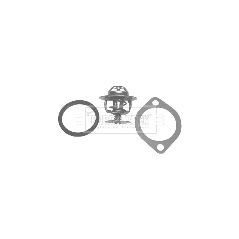 Thermostat d'eau BORG & BECK BBT028