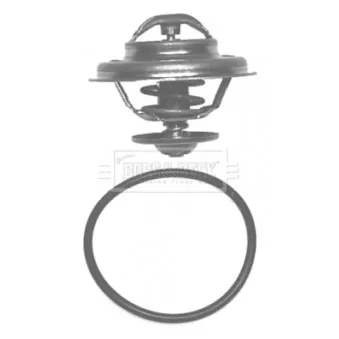 Thermostat d'eau BORG & BECK BBT029