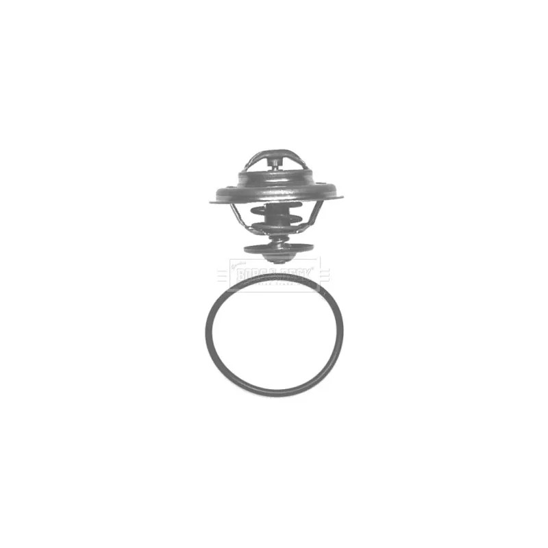 Thermostat d'eau BORG & BECK BBT029