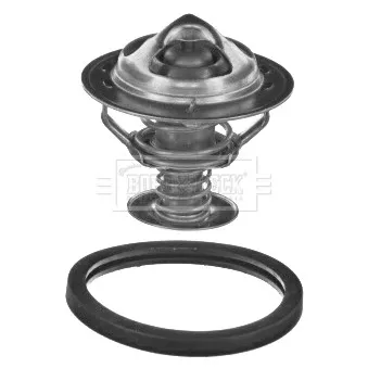 Thermostat d'eau BORG & BECK