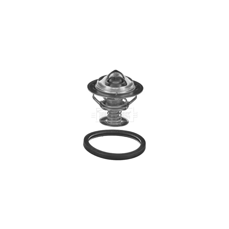 Thermostat d'eau BORG & BECK BBT030