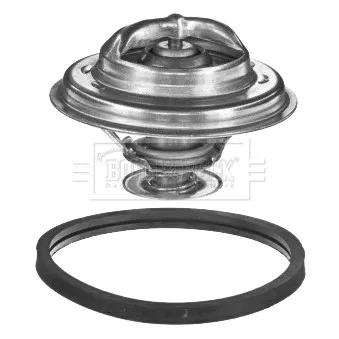 Thermostat d'eau BORG & BECK BBT032