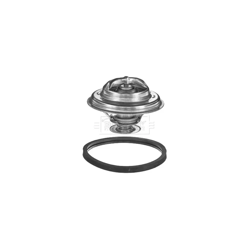 Thermostat d'eau BORG & BECK BBT032
