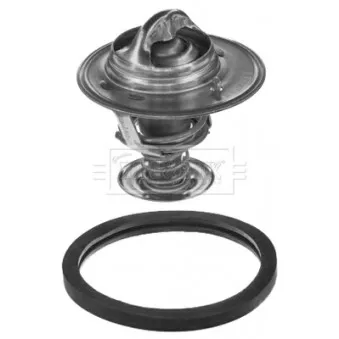 Thermostat d'eau BORG & BECK BBT033
