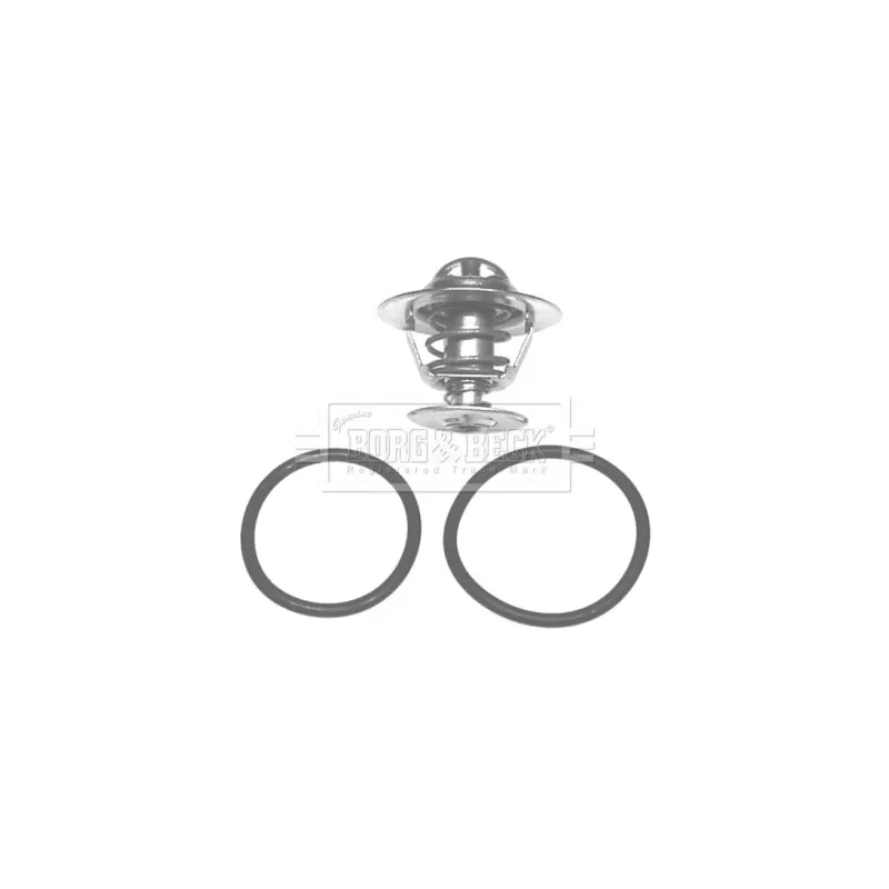 Thermostat d'eau BORG & BECK BBT034
