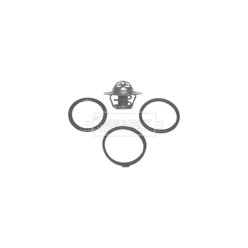 Thermostat d'eau BORG & BECK BBT035