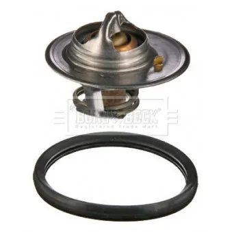 Thermostat d'eau BORG & BECK BBT036