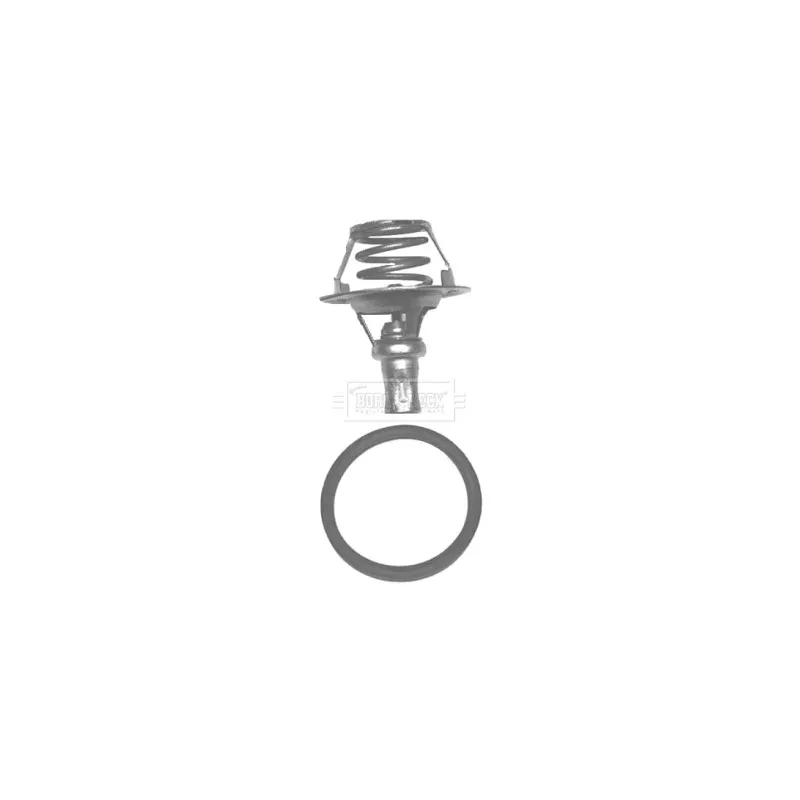 Thermostat d'eau BORG & BECK BBT038