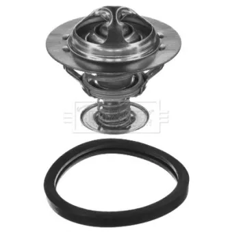 Thermostat d'eau BORG & BECK BBT039