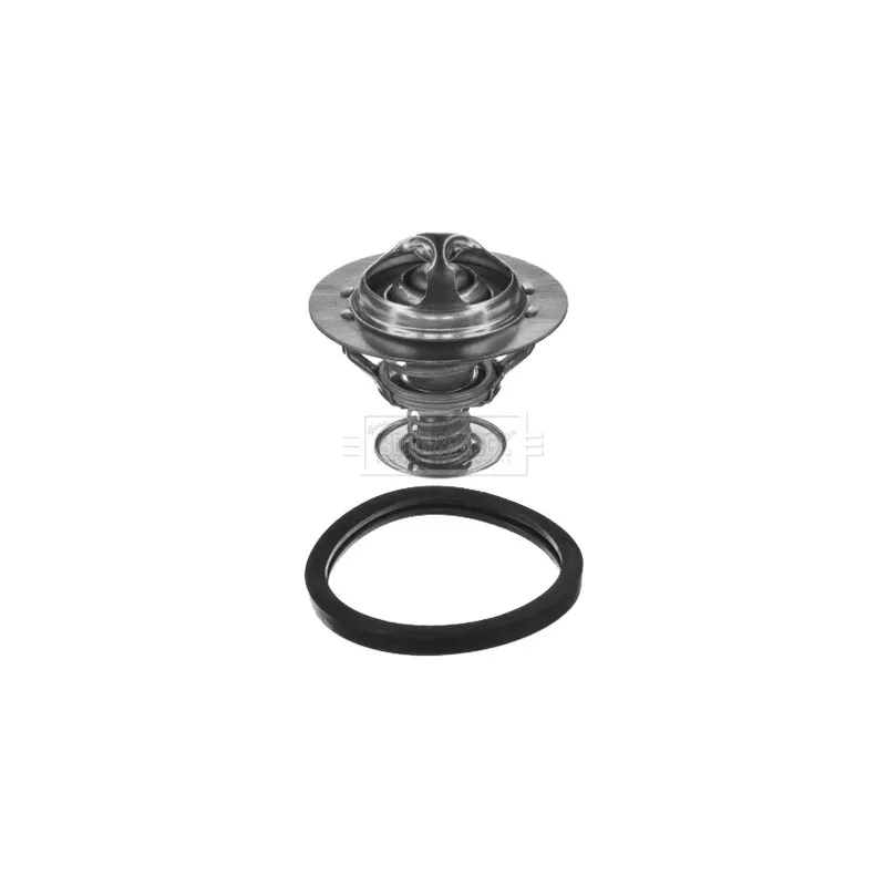 Thermostat d'eau BORG & BECK BBT039