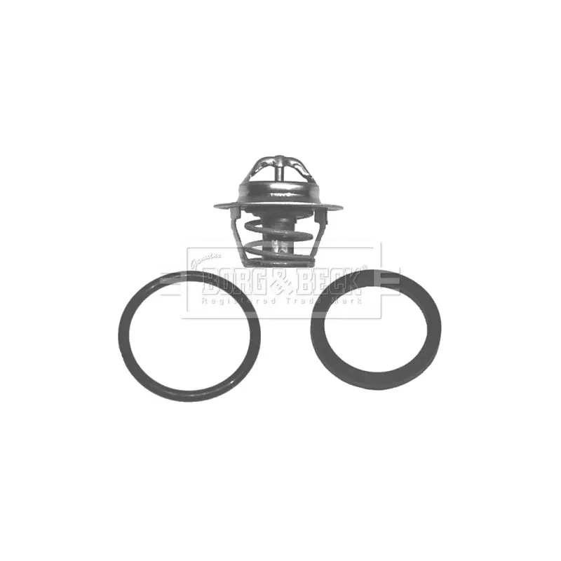 Thermostat d'eau BORG & BECK BBT040