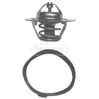 Thermostat d'eau BORG & BECK BBT041