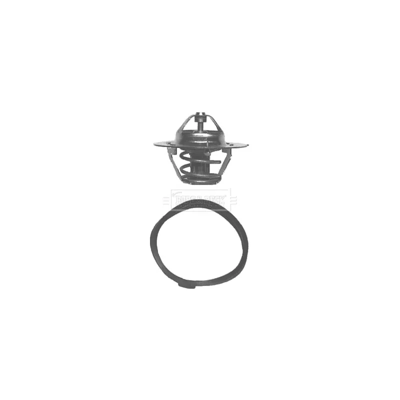 Thermostat d'eau BORG & BECK BBT041
