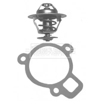 Thermostat d'eau BORG & BECK BBT044