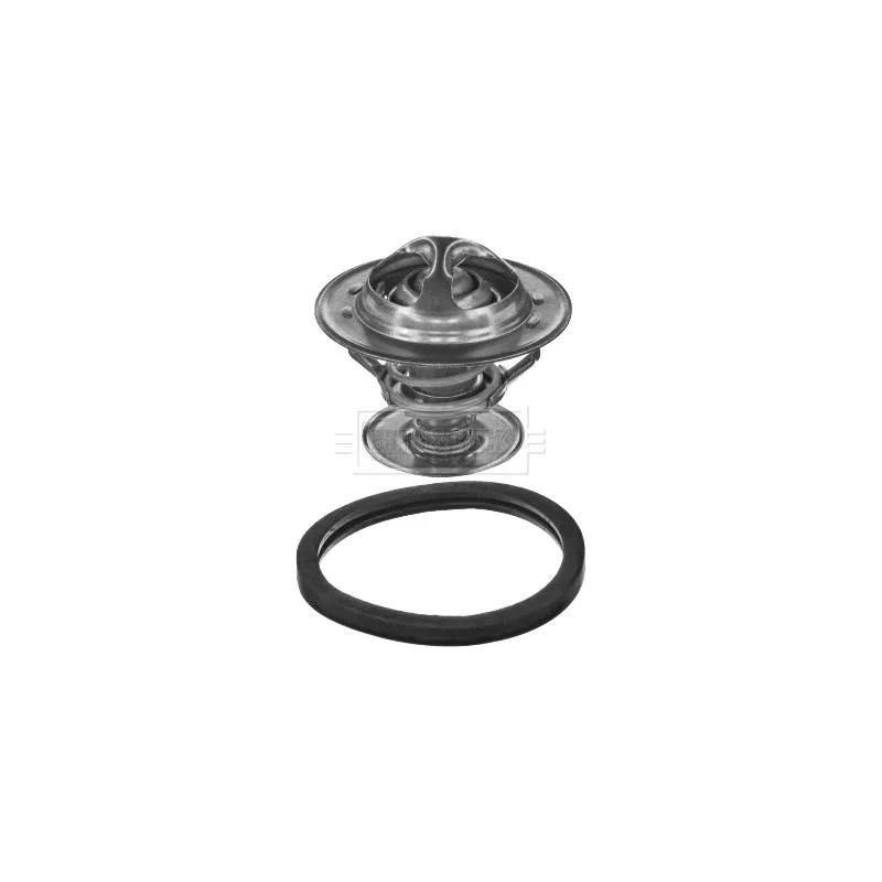 Thermostat d'eau BORG & BECK BBT045