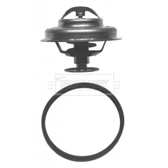 Thermostat d'eau BORG & BECK BBT046