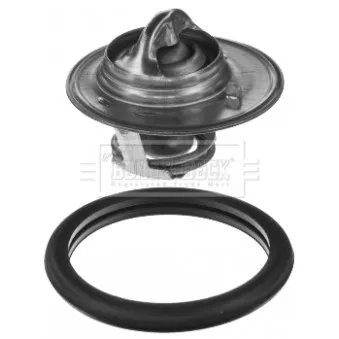 Thermostat d'eau BORG & BECK BBT050