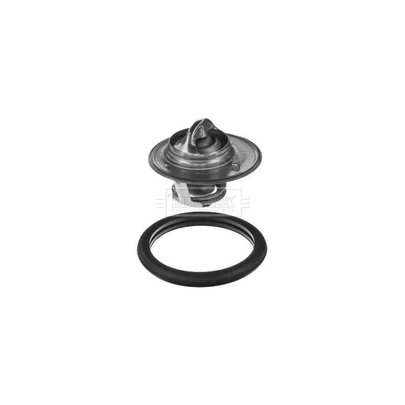 Thermostat d'eau BORG & BECK BBT050