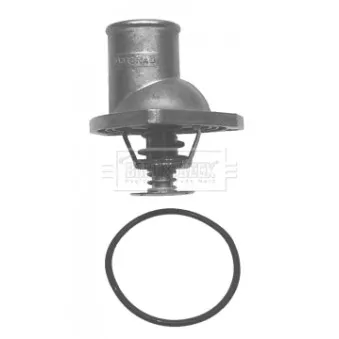 Thermostat d'eau BORG & BECK