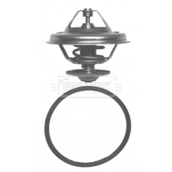 Thermostat d'eau BORG & BECK BBT054