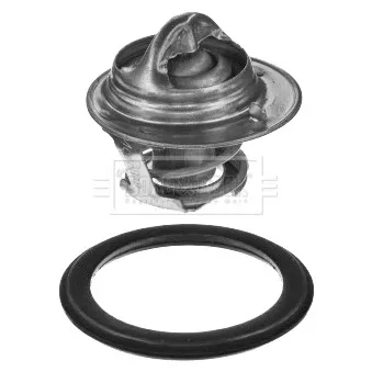 Thermostat d'eau BORG & BECK BBT056