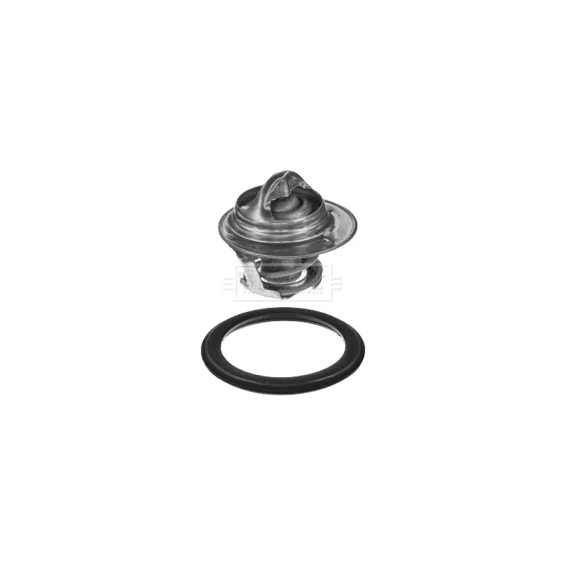 Thermostat d'eau BORG & BECK BBT056