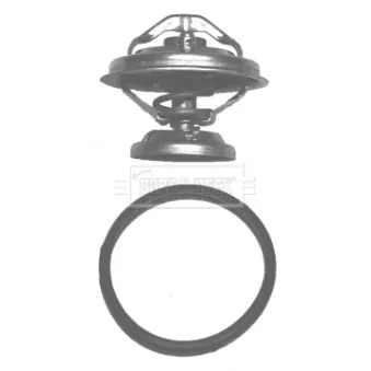 Thermostat d'eau BORG & BECK BBT060