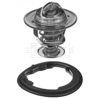 Thermostat d'eau BORG & BECK BBT061