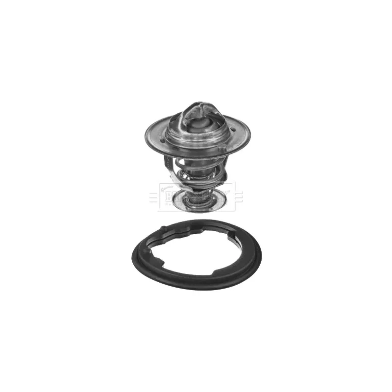 Thermostat d'eau BORG & BECK BBT061