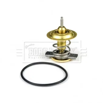 Thermostat d'eau BORG & BECK BBT063