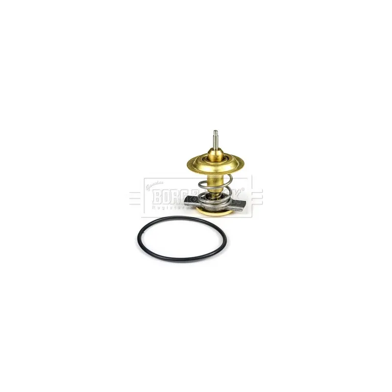 Thermostat d'eau BORG & BECK BBT063