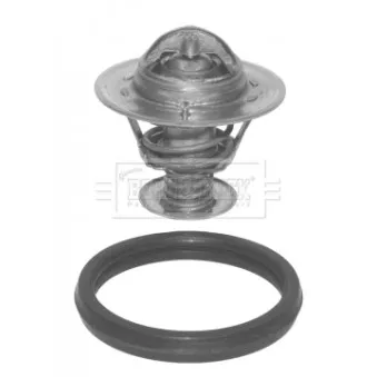 Thermostat d'eau BORG & BECK BBT065