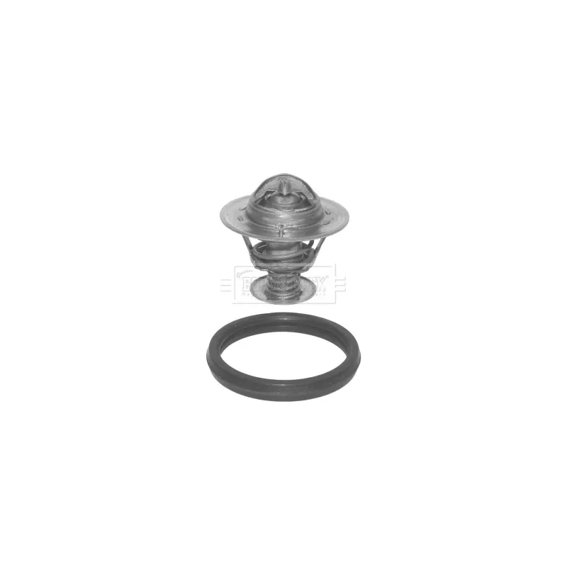 Thermostat d'eau BORG & BECK BBT065