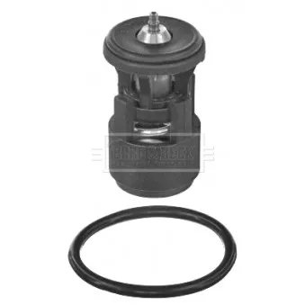 Thermostat d'eau BORG & BECK BBT068