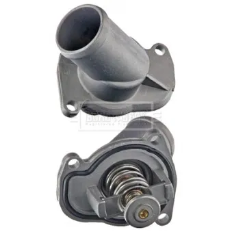 Thermostat d'eau BORG & BECK BBT070