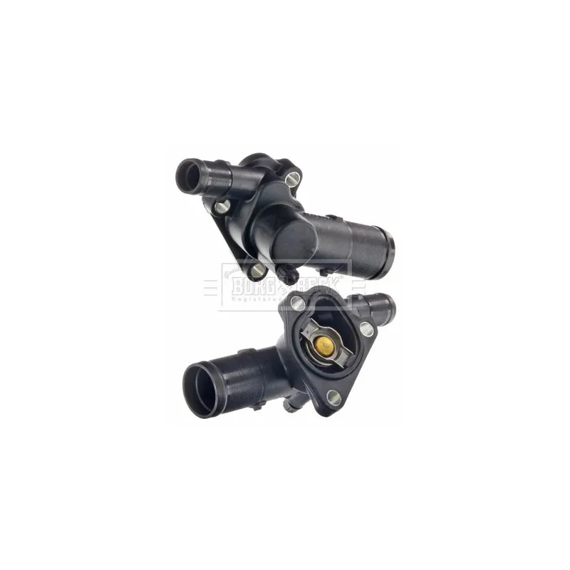 Thermostat d'eau BORG & BECK BBT071