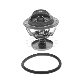 Thermostat d'eau BORG & BECK BBT072