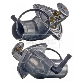 Thermostat d'eau BORG & BECK BBT074