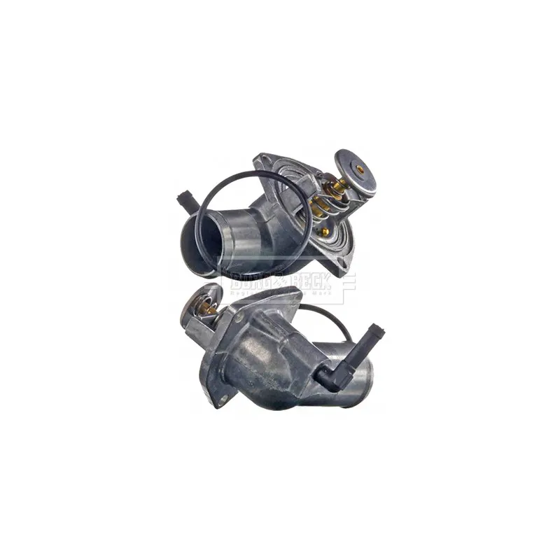 Thermostat d'eau BORG & BECK BBT074