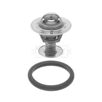 Thermostat d'eau BORG & BECK BBT075