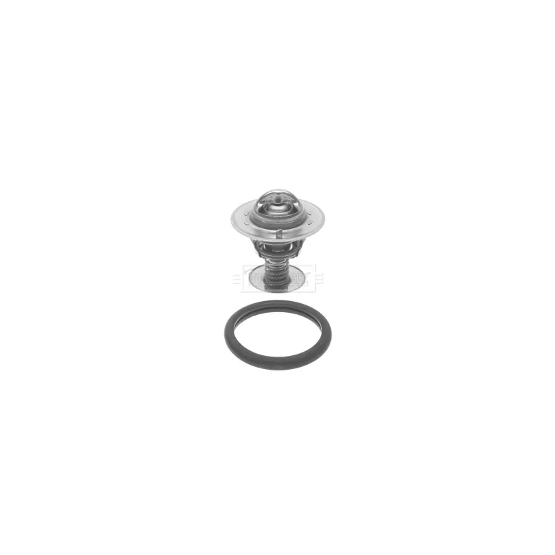 Thermostat d'eau BORG & BECK BBT075