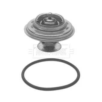 Thermostat d'eau BORG & BECK BBT076