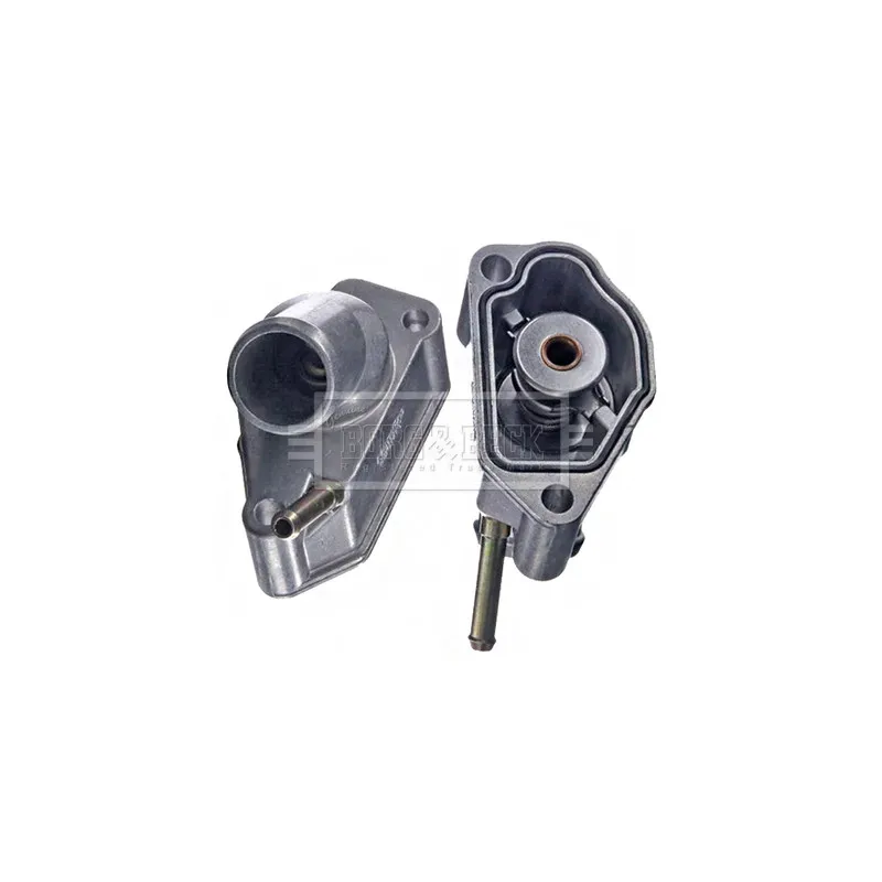 Thermostat d'eau BORG & BECK BBT080
