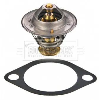 Thermostat d'eau BORG & BECK BBT083