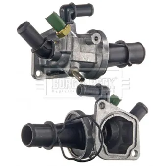 Thermostat d'eau BORG & BECK