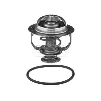 Thermostat d'eau BORG & BECK BBT094