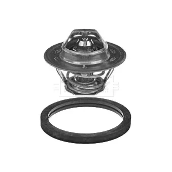 Thermostat d'eau BORG & BECK BBT098