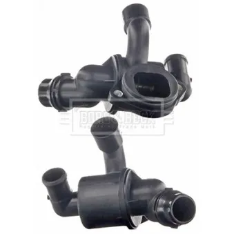 Thermostat d'eau BORG & BECK BBT106